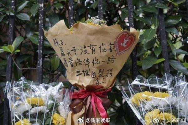 李月汝给杨瀚森建议：练英语要大胆地瞎说，自己会说才能更好融入